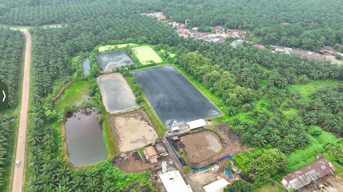 Hadapi Gejolak Energi Global, Holding Perkebunan Nusantara Andalkan PLTBg PalmCo