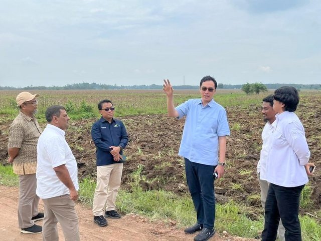 Dukung Program Mandiri Energi Nasional, Holding Perkebunan Nusantara Siapkan 10 Ribu Hektare Lahan Singkong di Lampung
