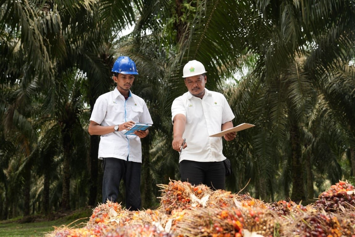 Holding Perkebunan Nusantara Perkuat Daya Saing SDM, PalmCo Targetkan 5.120 Sertifikasi Kompetensi
